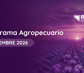 Encabezado del Informe Mensual Panorama Agropecuario Chaqueño de la Bolsa de Comercio del Chaco, septiembre 2026