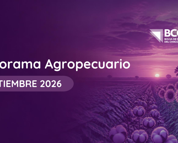 Encabezado del Informe Mensual Panorama Agropecuario Chaqueño de la Bolsa de Comercio del Chaco, septiembre 2026